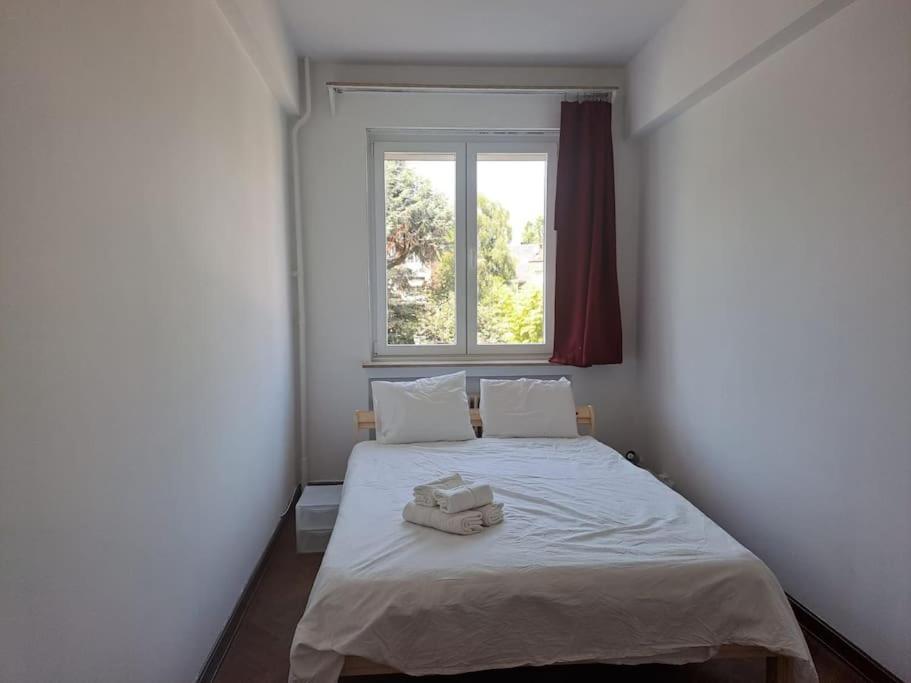 Spacious Apartment Next To Parc Du Cinquantenaire Bruxelles Eksteriør billede